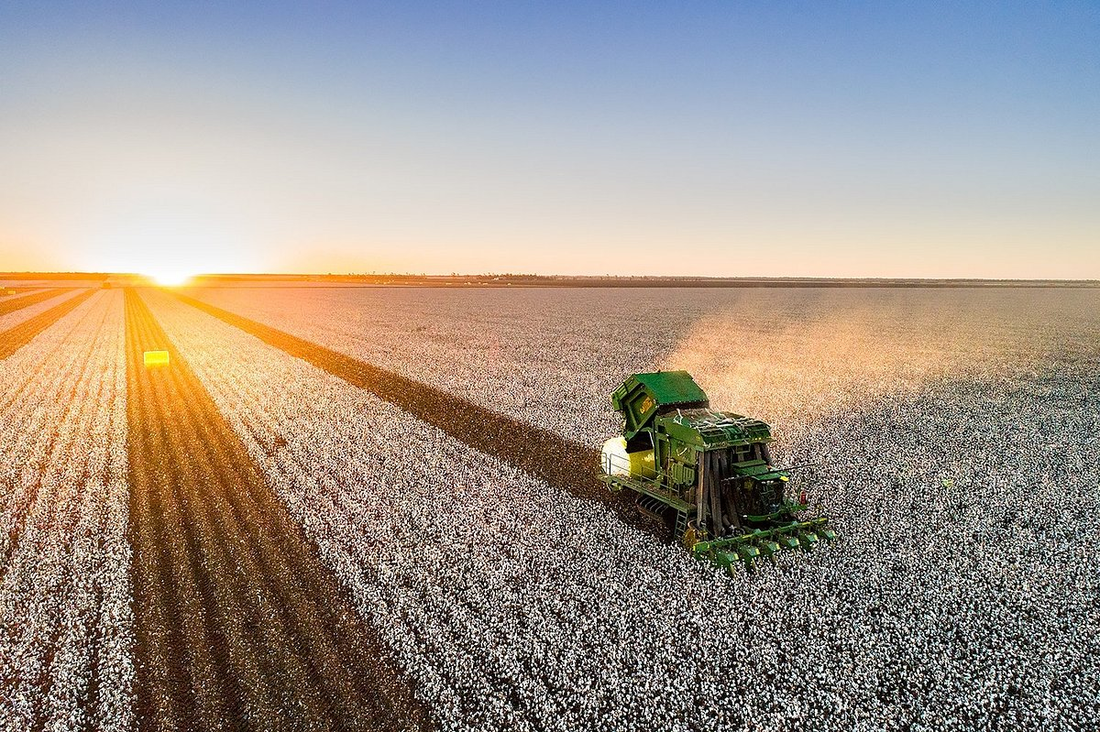 Why Factory-Code’s Cotton Is World-Class—And Still Affordable